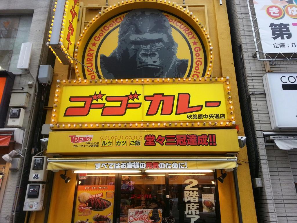 Go!Go! Curry Akihabara Chuodori